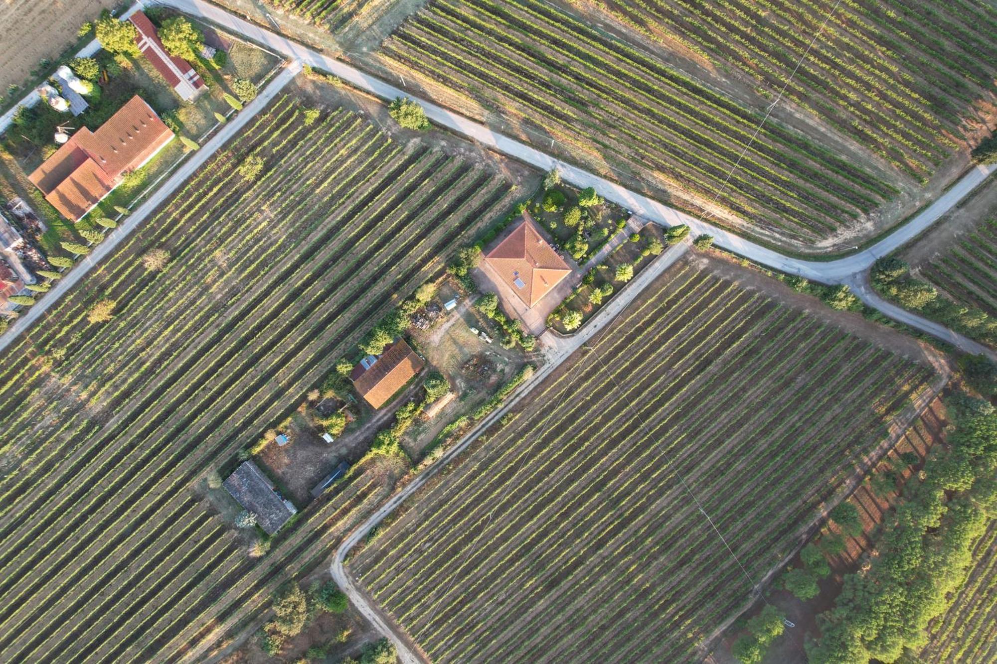 Cappannelle Country House Tuscany Castiglion Fibocchi Exterior photo